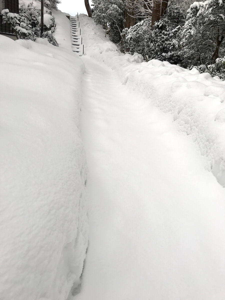 宝泉寺境内の積雪