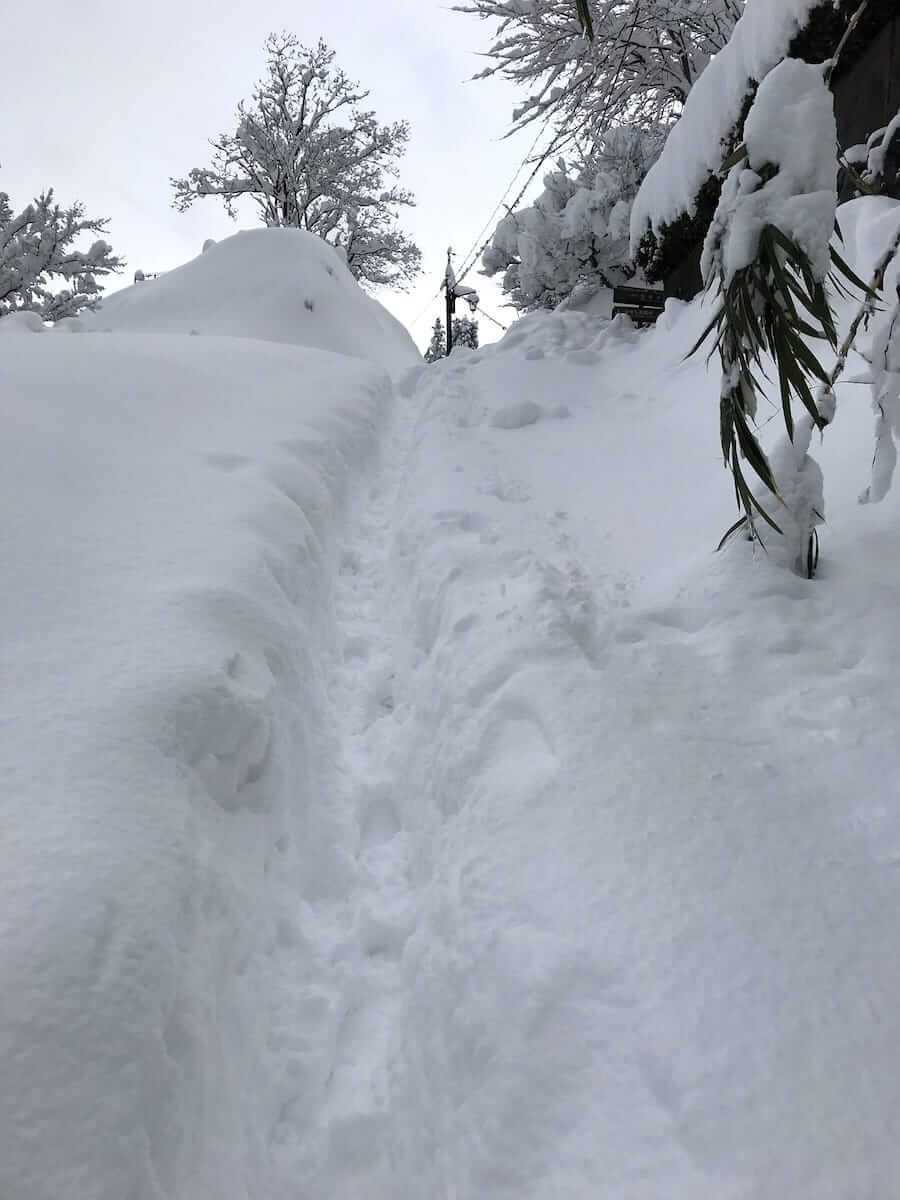 2018年2月6日、雪の子来坂