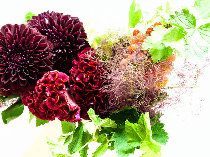 愛染王の花